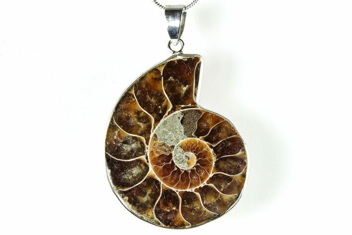 Fossil Ammonite Pendant - Million Years Old #306502